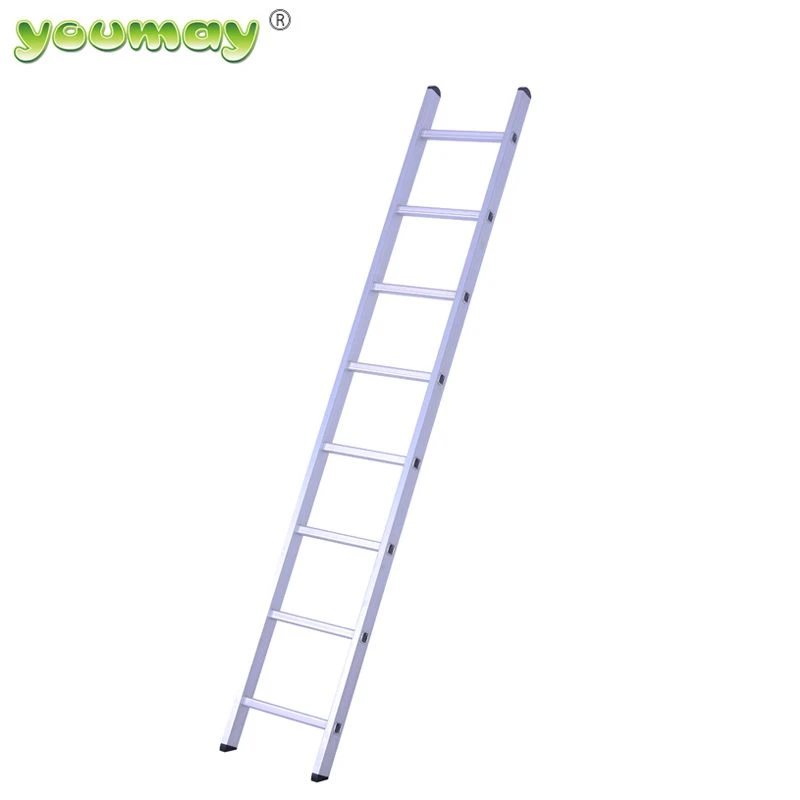 product-800-800